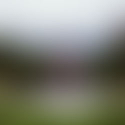 Estates of Sunnybrook Wedding