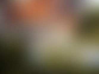 aerial wedding photo of a castle in toronto