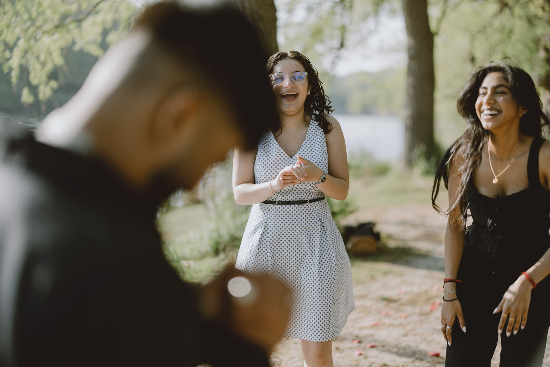 High Park Proposal Engagement