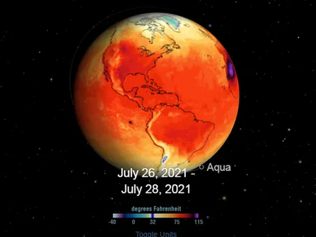 Piora nos sinais vitais da Terra é reflexo da superexploração humana