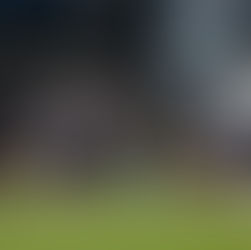 EXPANSION MONDIALE DU COLLEGE FOOTBALL: UNE OPPORTUNITÉ STRATÉGIQUE