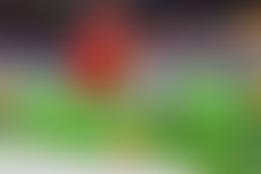 TEXAS BOWL: CONNER WEIGMAN MÈNE LA REMONTÉE ET OFFRE HOUSTON UNE VICTOIRE MARQUANTE FACE À LSU