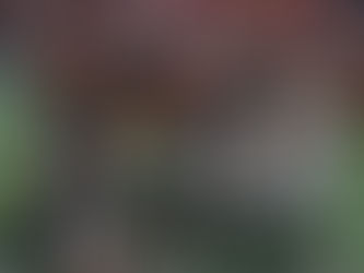 LES TIGER-CATS ARRACHENT LA VICTOIRE 37-33 FACE AUX LIONS DANS LES DERNIÈRES SECONDES