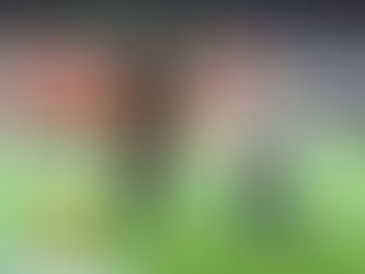 LES LIONS REPRENNENT POSSESSION DE LEUR ANTRE 36-18 FACE AUX  ALOUETTES 