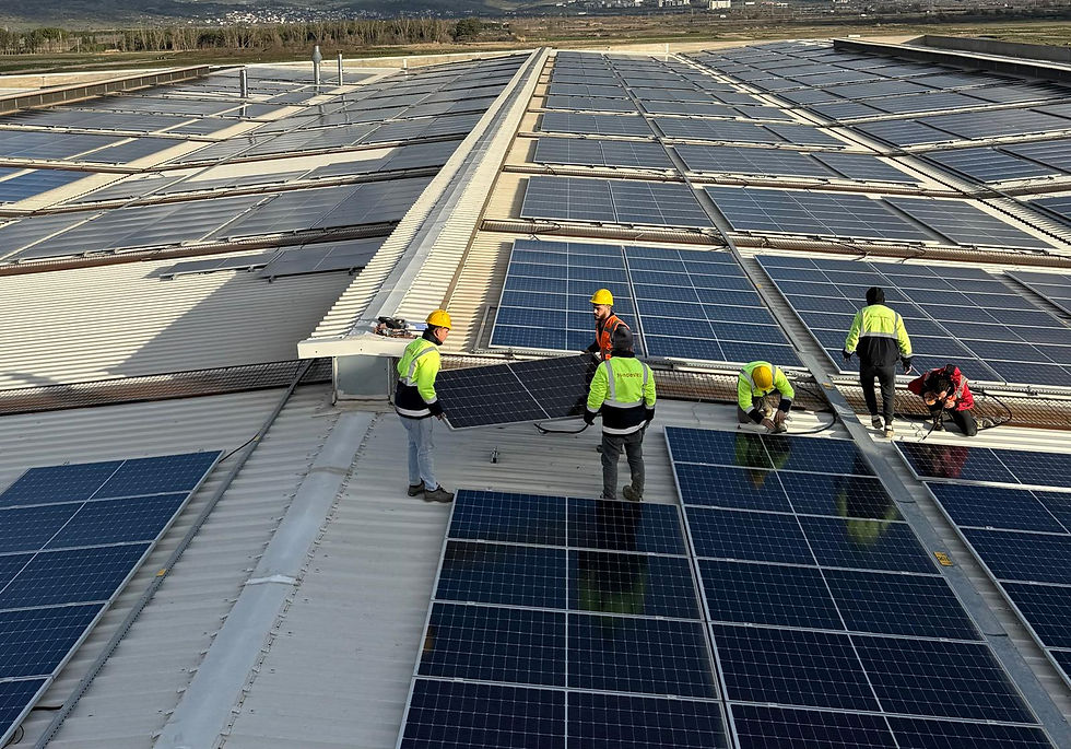 WhatsApp Image 2026-02-03 at 21.50.55 (1).jpeg