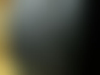 2017 Chinese KJV Bibles