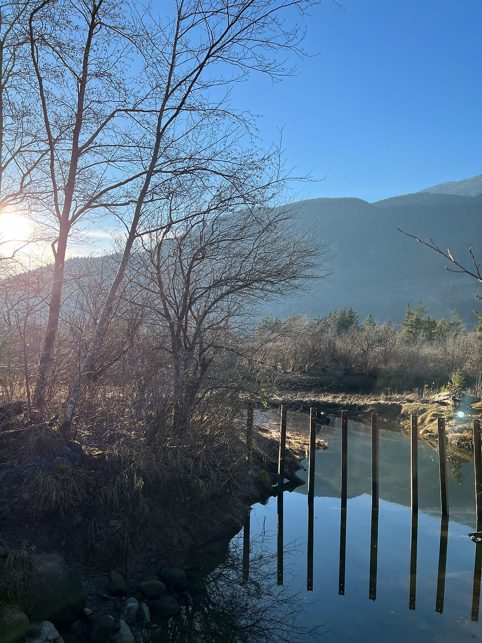 Squamish Estuary Dance Walk