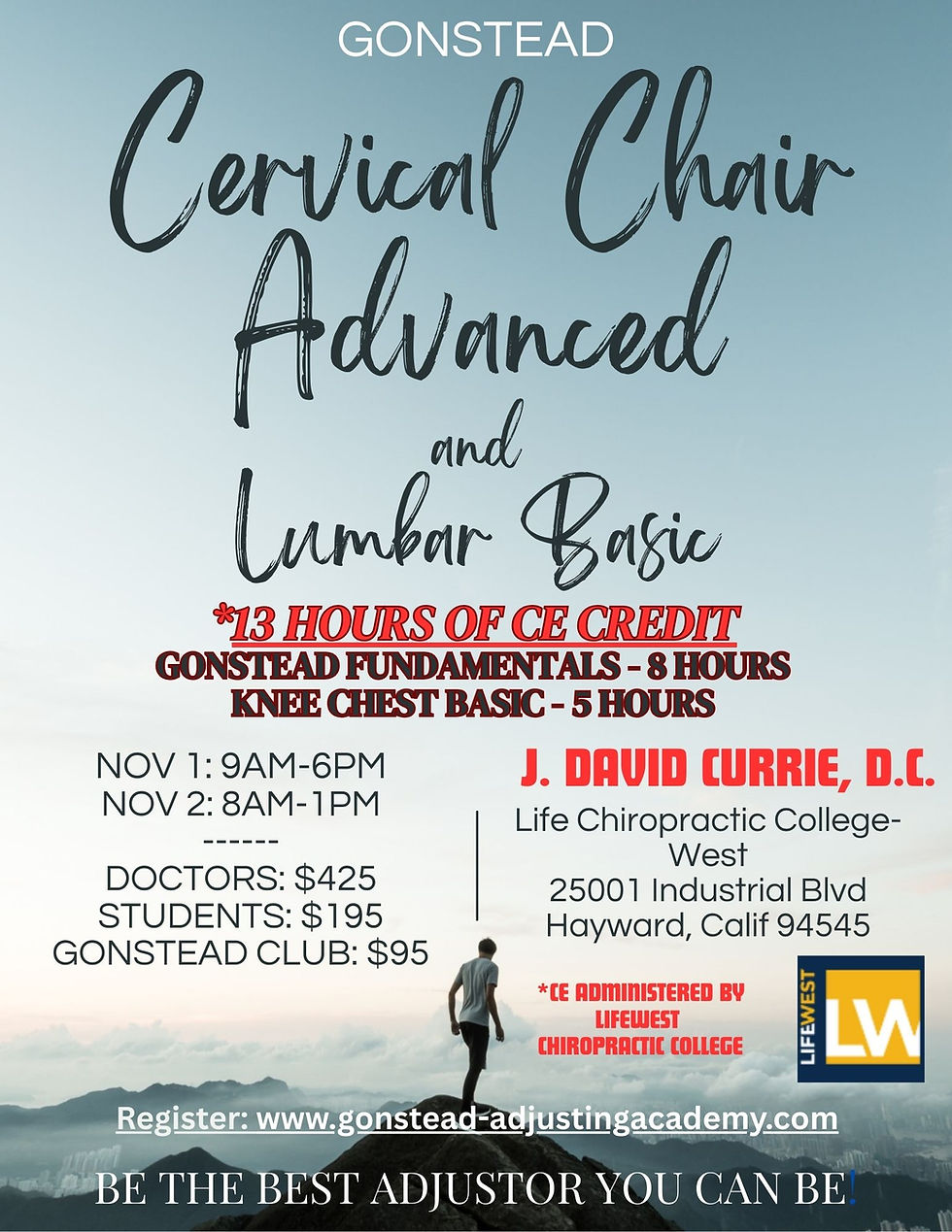 Advanced Cervical Chair & Lumbar Basic
