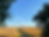 ways-29_edited.png