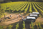 Weinbergtour mit Geländewagen