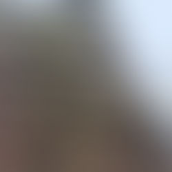 Réparation fuite toiture : tout ce qu'il faut savoir pour agir vite et bien