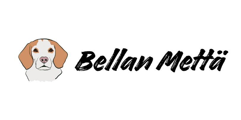 Bellan Mettä (1).png