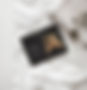 Veeraus_mockup_edited_edited.jpg