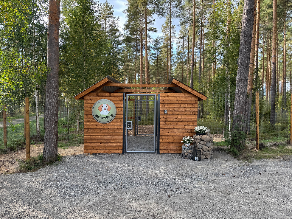 Bellan Mettä Kauhavalla