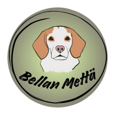 Untitled design (17).png