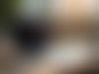 Build Passive Income with Just $50: Real Strategies for Beginners Using Free Platforms and Digital Products