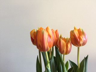 Season of Growth ... Like a flower, she bloomed.