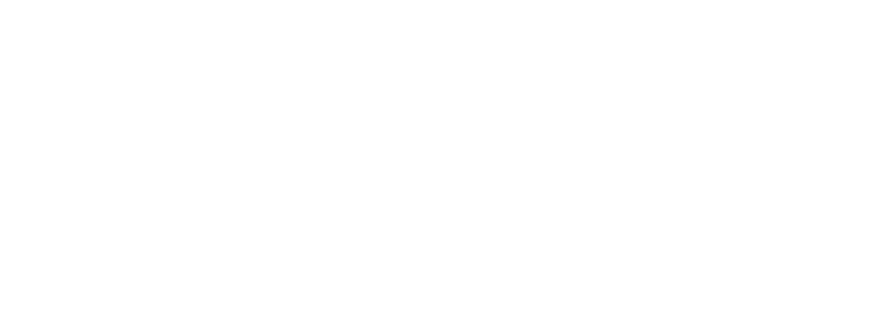 logo chalet val ferret white.png