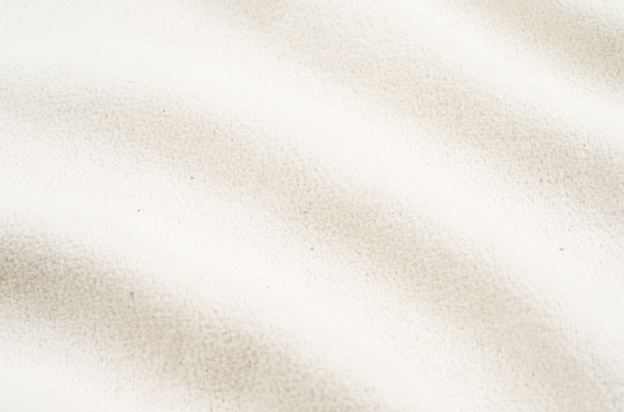 Textured Plain Chenille | champagne