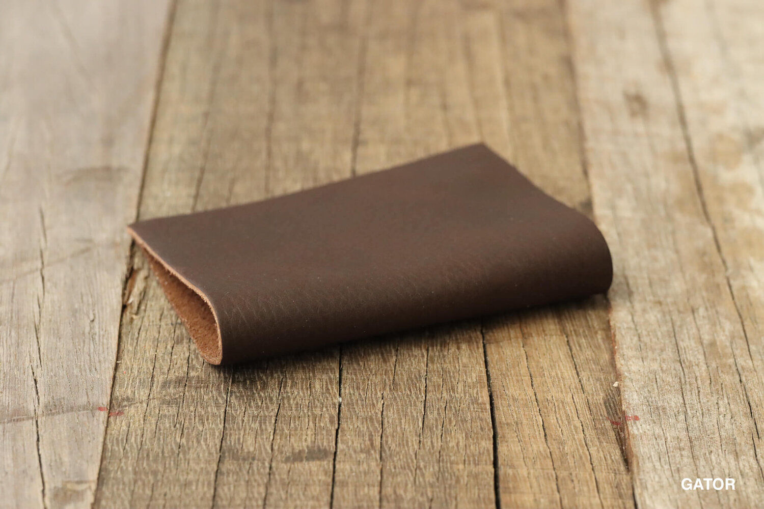 Arazzo Abilene | gator