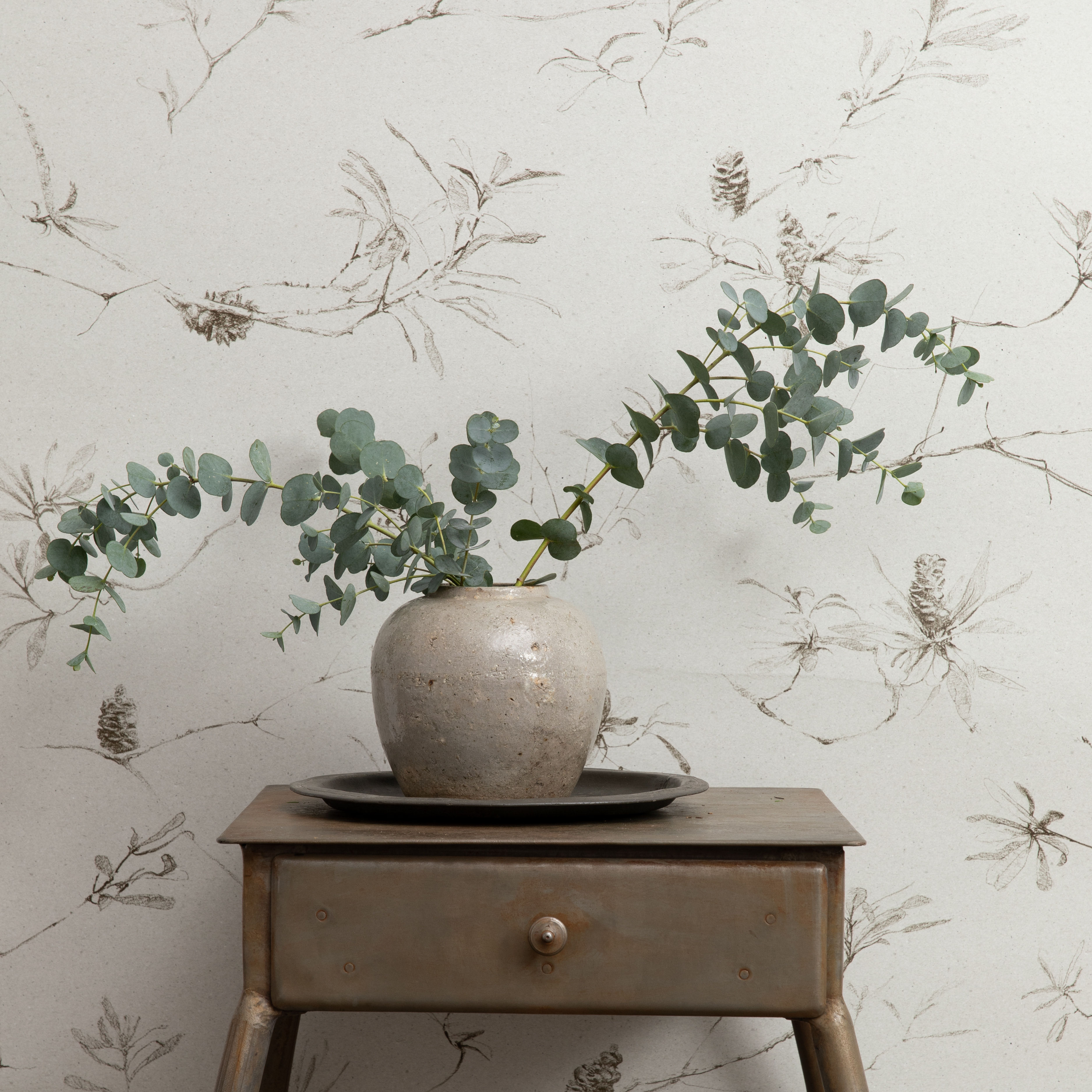 Coastal Banksia | evening grey (wallpaper)