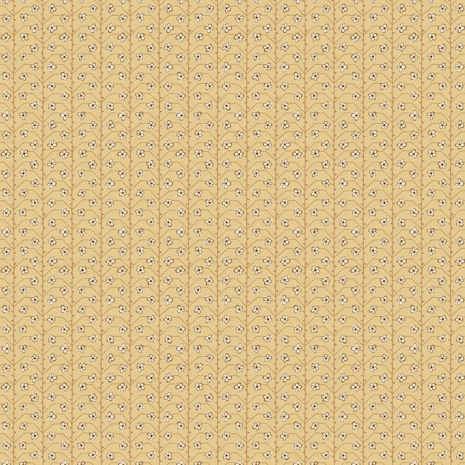 Dinky | butterscotch