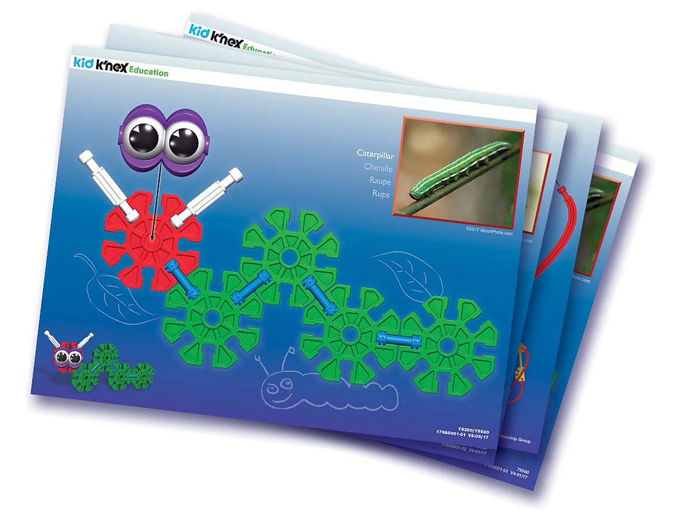 Miniatura: Organismos y Ciclos de Vida - K´NEX EDUCATION