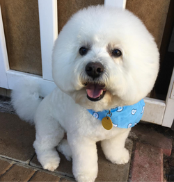 17873813011002009_edited