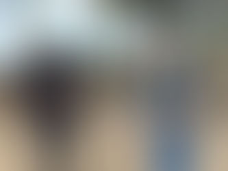 Das Pferd als Co-Coach: Was Führungskräfte wirklich lernen – Authentizität, Präsenz und die Kunst klarer Führung