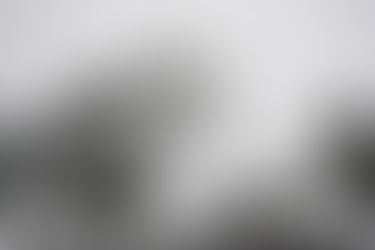 Winter Won't Say Goodbye Quietly