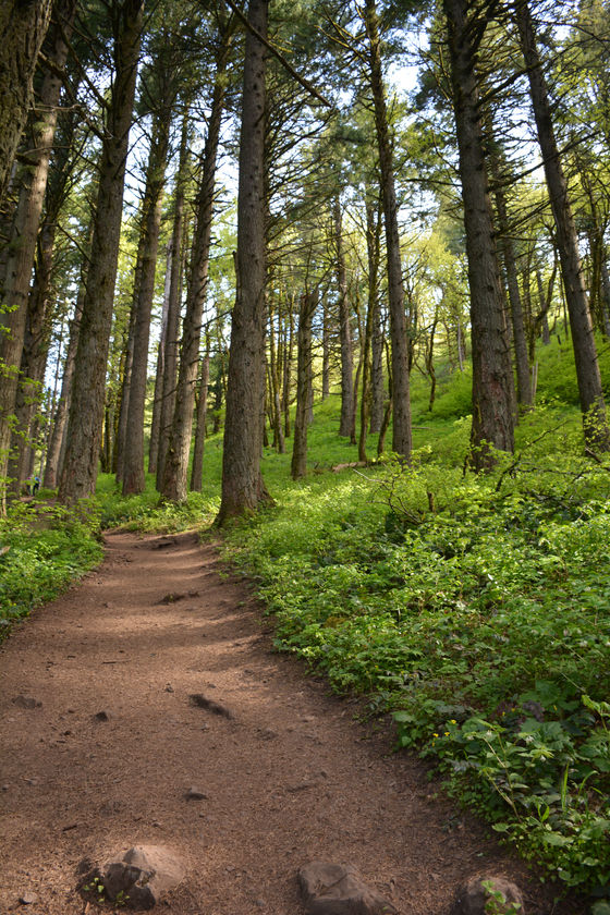 Time Marchs on with Confidence and Courage