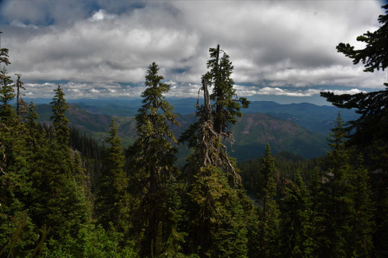 That which does not Kills you, makes you Stronger!