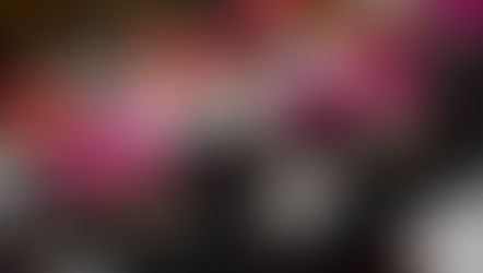 Getting ready for Synod-2018