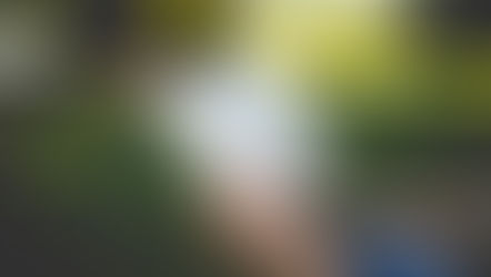 The summer reading list