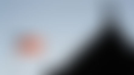 Games intellectuals play