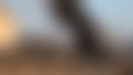 Lebanese priest: ‘We need your prayers’ after Beirut explosions