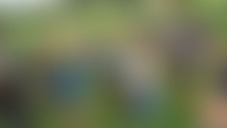 Make sure your kids aren’t caught bored this summer