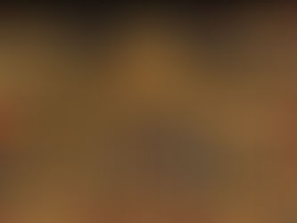 All Saints, All Souls, and Synod-2023