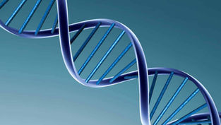 How does the Catholic Church resolve new bioethical questions?