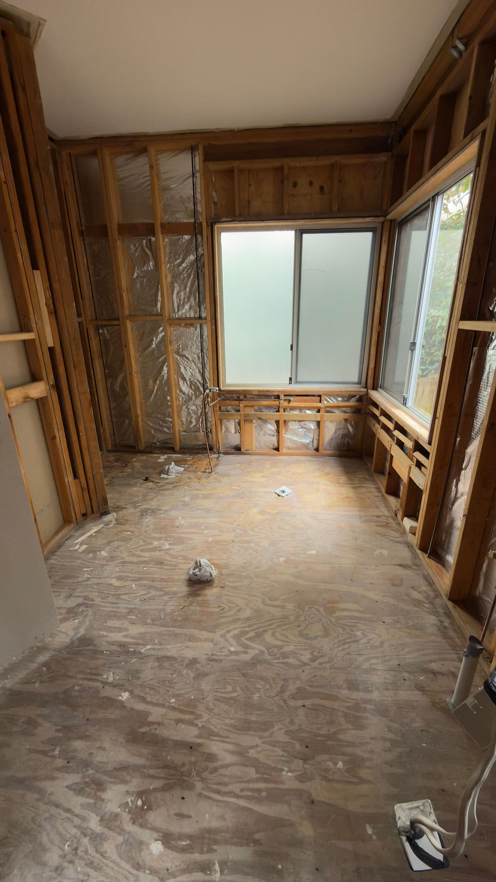 Bathroom Strip-Out