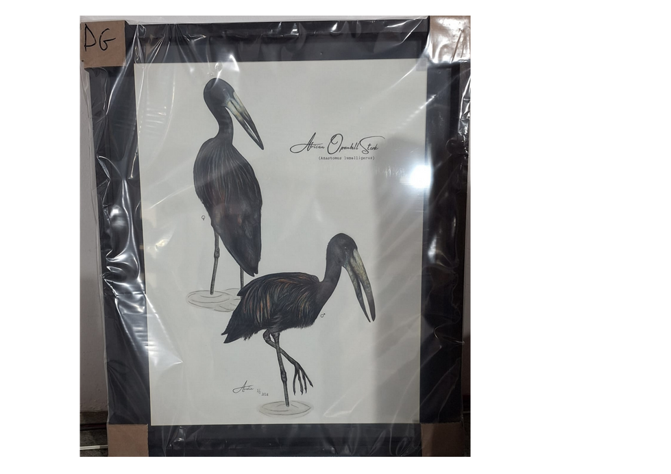 Open-Billed Stork - African Wildlife Artist 2024 finalist