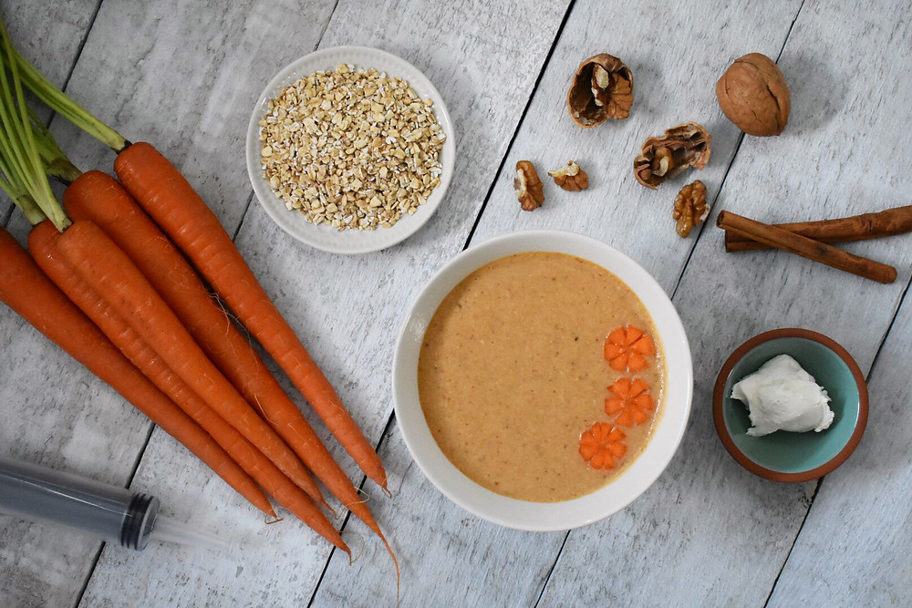 blenderized tube feeding carrot cake oatmeal recipe