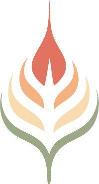naturalflames logo23.png