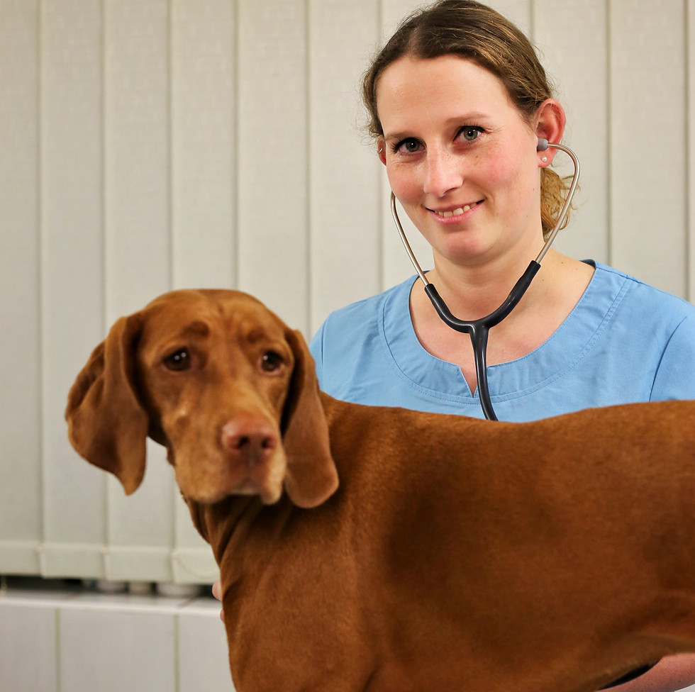 Tierärztin mit Stethoskop und Hund