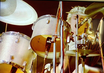 Roger Taylor LG.jpg