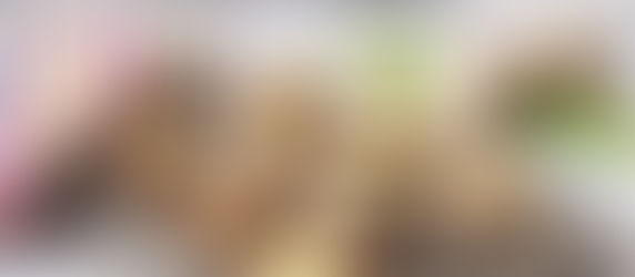 Gefüllte Champignons 🌱