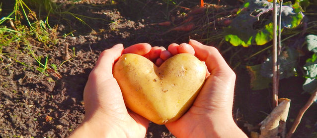 5 Tipps gegen Lebensmittelverschwendung, die jeder kennen sollte.