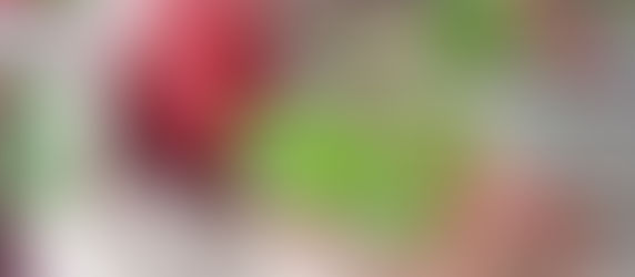 Rhabarber-Minz Sirup 🌱🌱