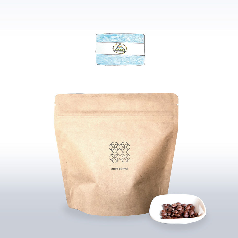 ニカラグア　ナチュラルファンキー　豆