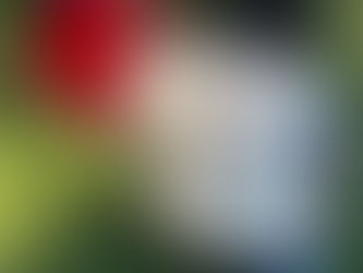 毎日兄弟ケンカ、でもすぐ仲直り|子どもに教わった人との関わり方